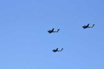 Naklejka na ściany i meble Air parade in the sky of Israel