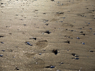 Fototapeta na wymiar Stones scattered in sand