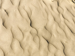 Rippled sand
