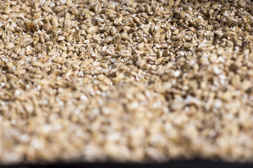 Barley grain. The view from the top. Product for beer production.