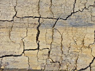 Dry cracked soil
