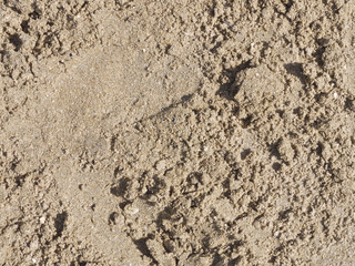 Coarse textured sand
