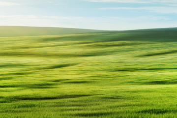 Obraz premium Green field in summer day with beautiful light
