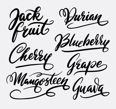 Jack fruit and durian hand written typography. Good use for logotype, symbol, cover label, product, brand, poster title or any graphic design you want. Easy to use or change color
