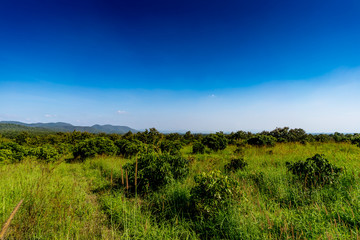 Obraz premium Cloud with blue sky