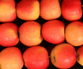 Red apples background