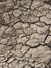 Drying and cracking soil