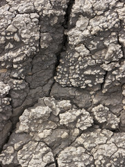 Drying and cracking soil