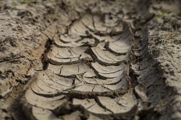 Dry brown earth close-up, background