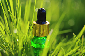 Herbal  serum for skin.Organic cosmetics concept. Essence liquid cosmetic.  Herbal extract for...