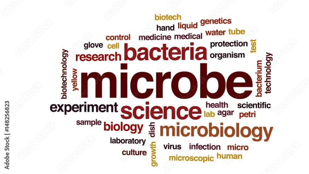 Poster microbe animated word cloud, text design animation.