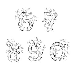 number 3. numbers 6, 7, 8, 9, 0 in the form of a birch trunk with leaves