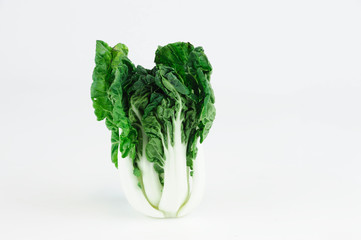 fresh vegetable cabbage isolated on white background