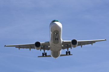 Naklejka premium Passenger Jet
