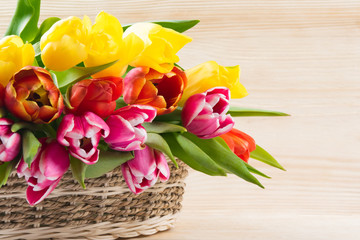Wicker basket with multi-colored tulips, on a white wooden background