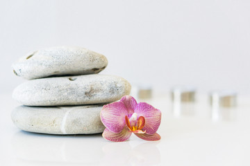 Fototapeta na wymiar Fresh pink orchid near gray stones on a white background. Concept spa and relaxation.