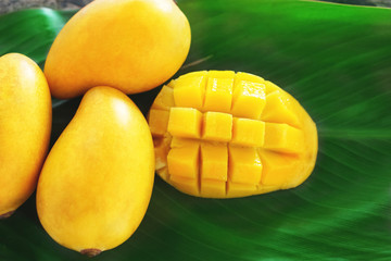 ripe mango cut in square with other yellow mangoes on a green leaf