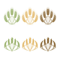Vector Wheat ears isolated illustration on white