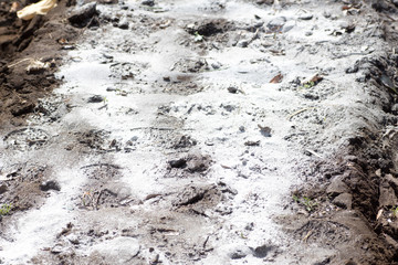 Spreaded powder of lime stone