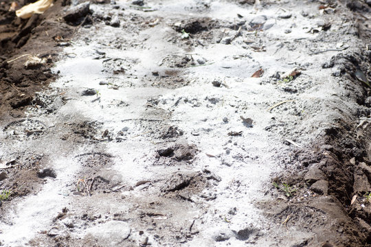 Spreaded powder of lime stone