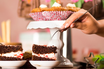 Delicious chocolate cake pieces with cream filling sitting on small plates, hand holding fork grabbing piece, pastry concept