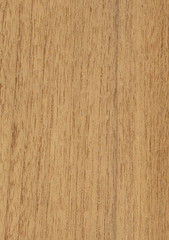 Wood texture