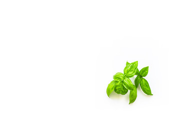 Fresh branches with leaves of organic basil seen from above isolated on a white background