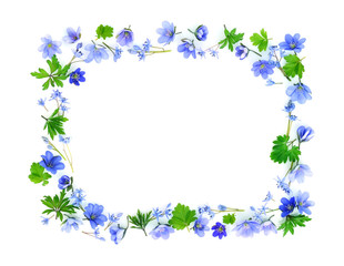 Floral rectangle made of blue spring flowers on white background. Top view. Frame of flowers.