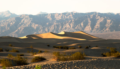 Mesquite Flat Sand Dunes