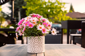 Bunte Blumen in einem gemusterten Blumentopf