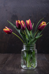 Fresh red tulip flowers bouquet in a glass jar on rustic wooden  background 