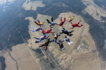 Skydivers in the sky
