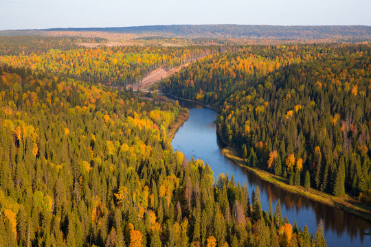 River And Autumn Forest Aerial View