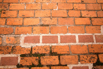 Brick floor background