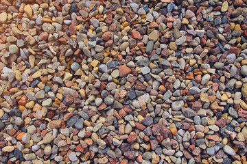 Texture and background of small colored pebbles on the beach.