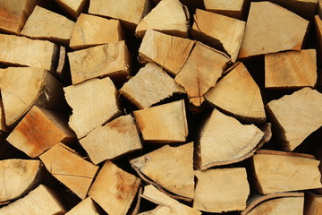 firewood for the winter, energy source