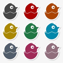 Fototapeta premium Newborn bird in the broken egg shell vector - Illustration