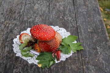 The concept of struggle against insects by natural means