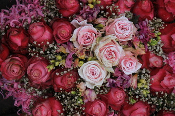 Mixed pink roses