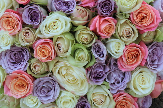 Mixed pastel roses for a wedding