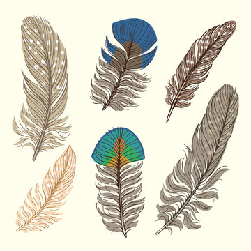 Set illustration with feathers. Isolated objects. Freehand drawing      