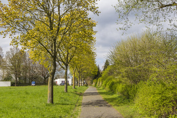 Pellens-Park im Frühling