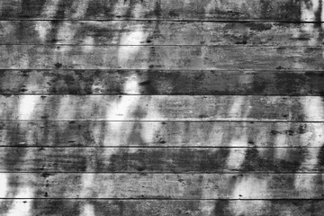 Texture of grunge wooden wall in black and white style