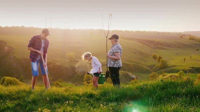 An elderly woman with two grandchildren, a boy and a girl, plant a tree together. Against the background of the picturesque landscape. Concept - teamwork, family values, environmental protection