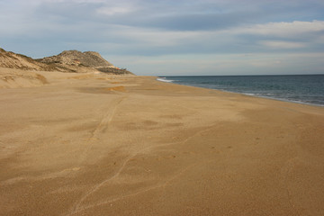 Fototapeta na wymiar Beautiful beach close to Laguna, Baja California Sur, Mexico