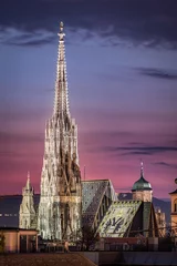 Foto op Canvas Wenen Skyline & 39 s nachts met St. Stephen& 39 s Cathedral, Wenen, Oostenrijk © mRGB