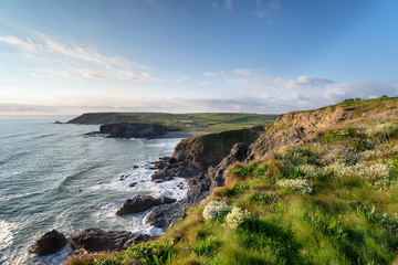 Fototapeta na wymiar Gunwalloe on the Cornwall Coast