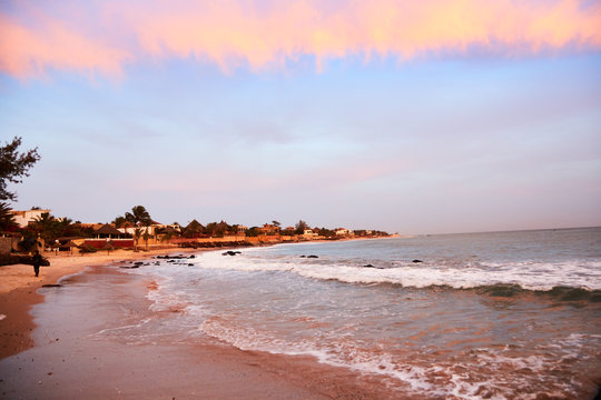Palm trees on one of the beaches of somone, in the coastal region of Mbour, Senegal
