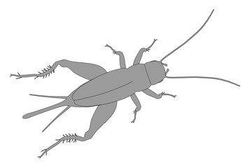 2d cartoon illustration of scroll