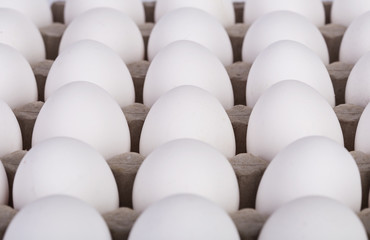 Eggs in trays lined